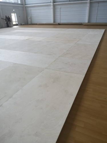 Acrosport Evo rytmisen voimistelun FIG voimistelukanveesi ja voimistelumatto - Image 5