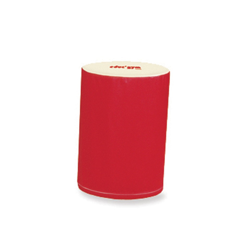 Gymnova Educ’Gym iso lieriömoduuli 100 x 69 cm GY-0268