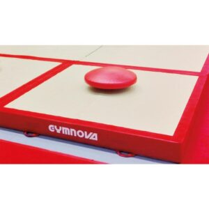 Gymnova mat for mushroom 200 x 200 x 20 cm GY-1399