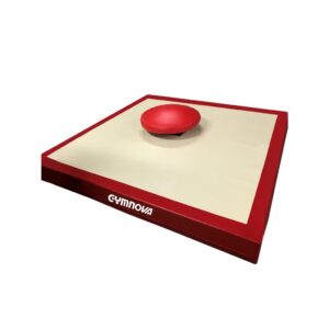 Gymnova harjoitustatin alastulomatto 200 x 200 x 20 cm GY-1399