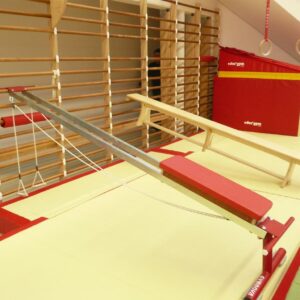 Gymnova muscle training bench