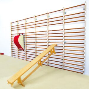 Gymnova wall bar 6 person set