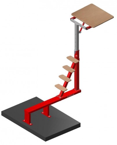 Gymnova pit-side swivel access platform - Image 4