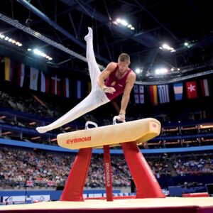 Gymnova competition pommel horse