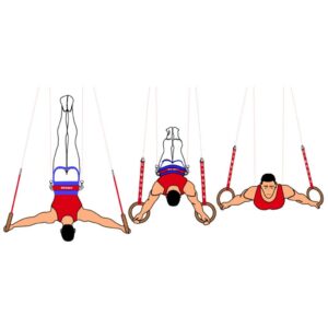 Gymnova Fifty-Fifty voimaharjoituslaite GY-3795