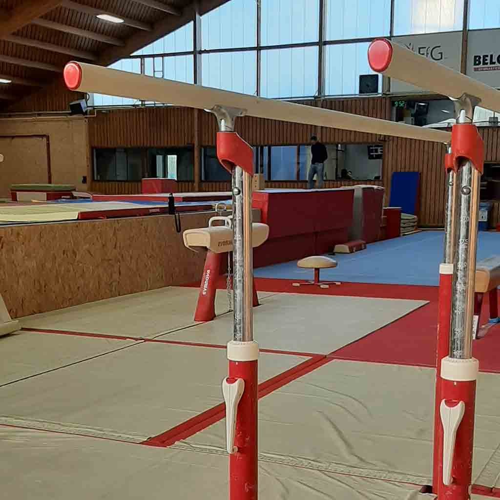 Gymnova FIG narutral fibre competition handrail for parallel bars - Image 2