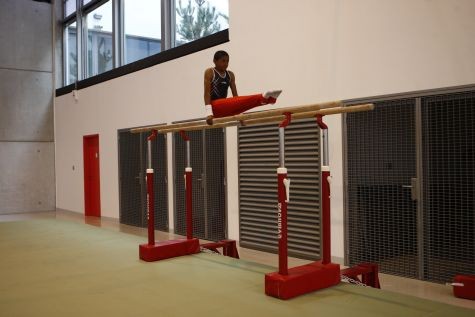 Gymnova sivusuunnassa käännettävät nojapuut alastulomonttua varten GY-3931 - Image 3