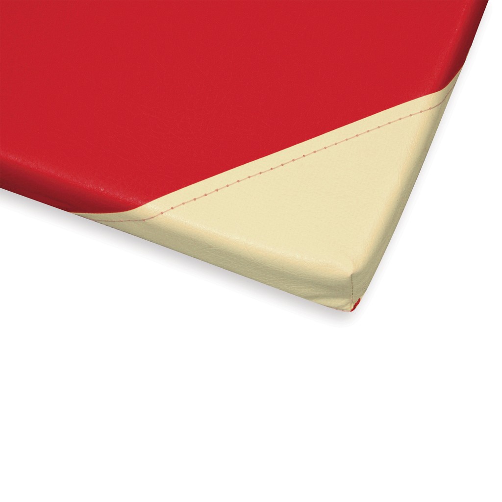 Gymnova gymnastic mat 200 x 100 x 4 cm GY-6100 - Image 2