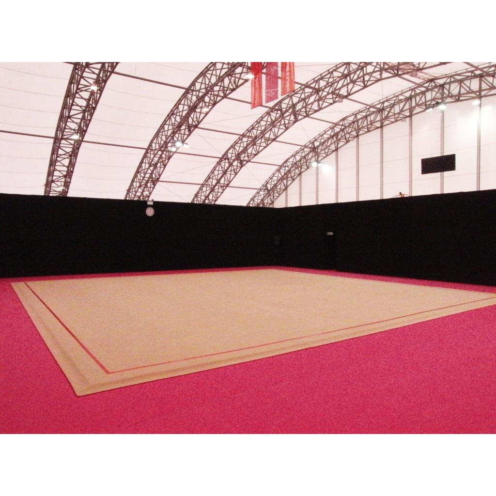 Gymnova Club joukkue- ja rytmisen voimistelun voimistelumatto GY-6657 - Image 2