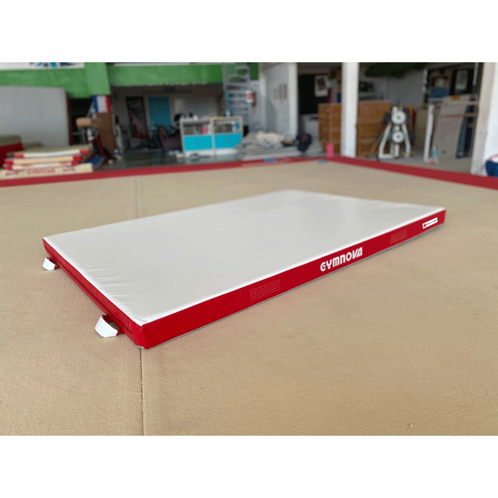 Gymnova multi-purpose mat with anti virus cover