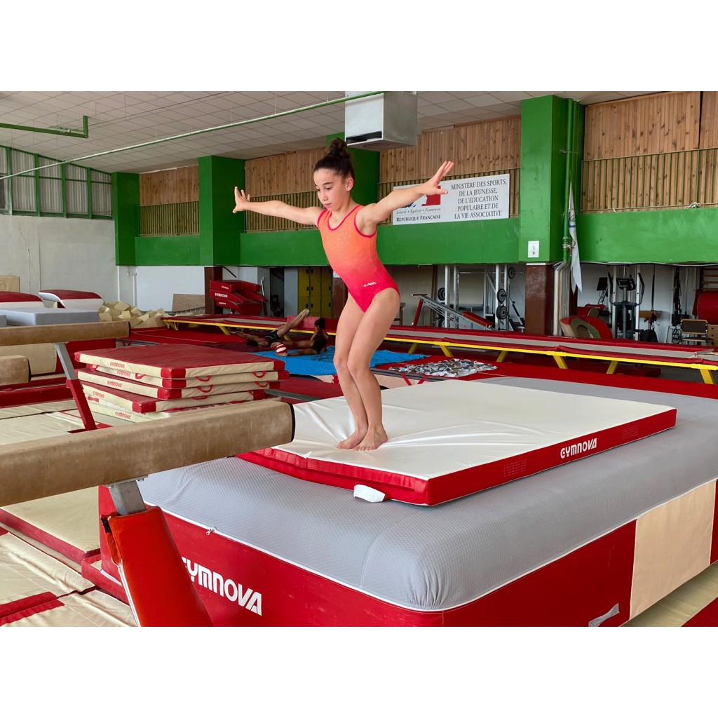 Gymnova multi-purpose mat with anti virus cover - Image 2