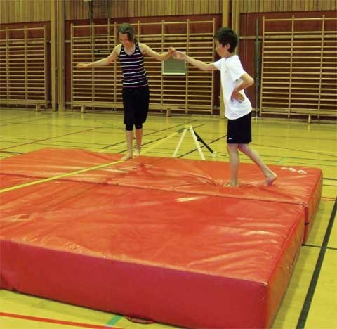 KGM Walk On Line KG-115250 - Image 3